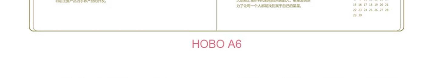 "MISSTINA" tape MI's 365-day glossy PET and paper special oil decorative notebook stickers original cat